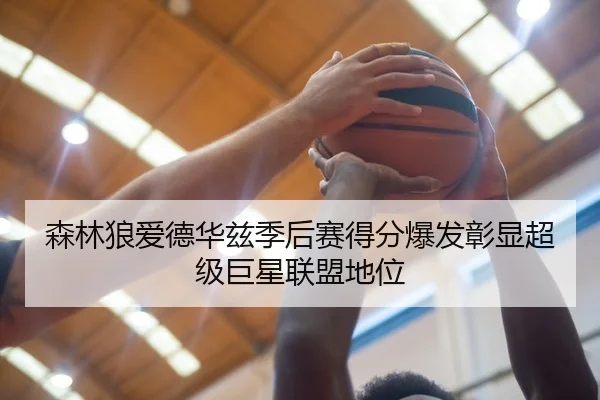 森林狼爱德华兹季后赛得分爆发彰显超级巨星联盟地位