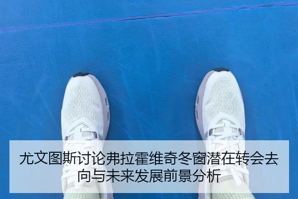 尤文图斯讨论弗拉霍维奇冬窗潜在转会去向与未来发展前景分析